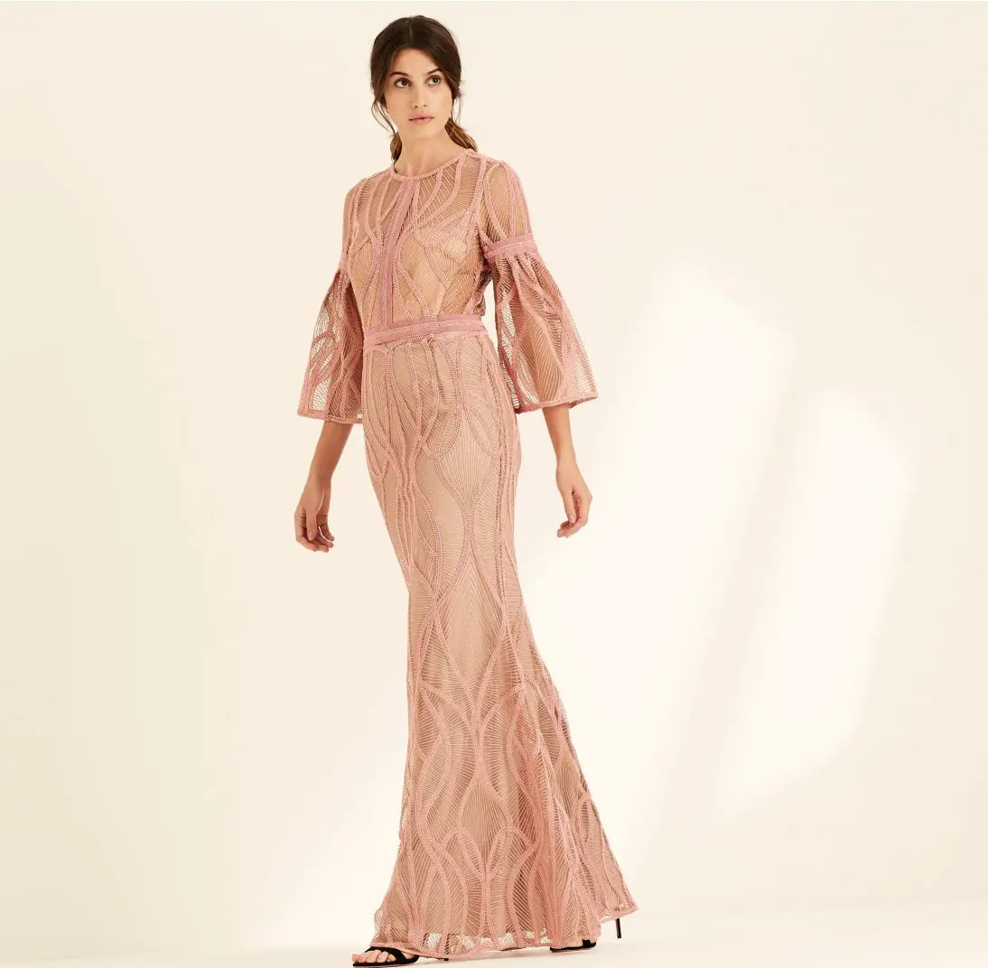 Blush Corded Embroidery Long Dress
